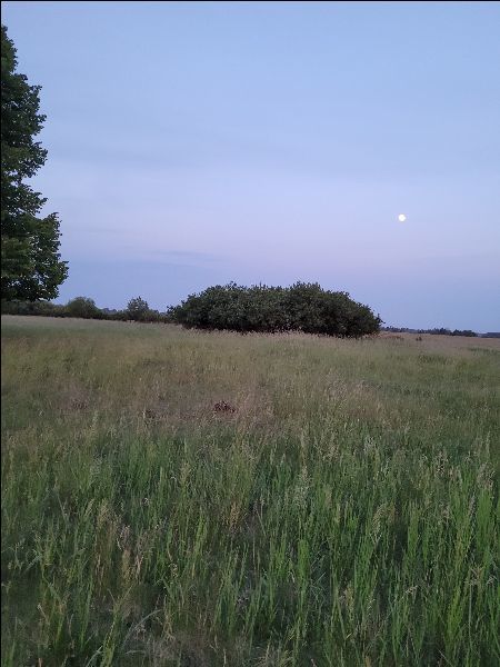 Rolna, 3,001 m2, Lubczyna  (1)