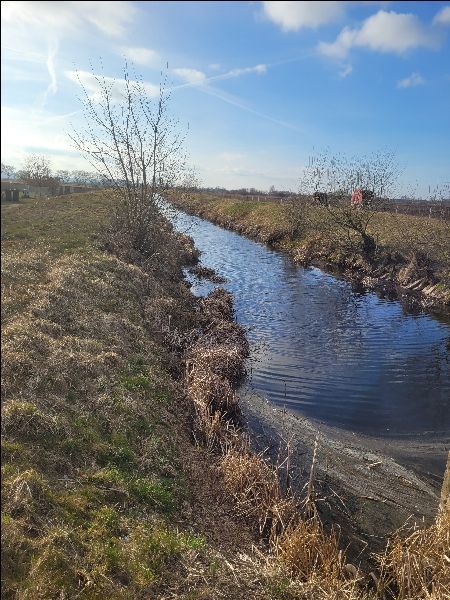 Rolna, 3,001 m2, Lubczyna  (7)