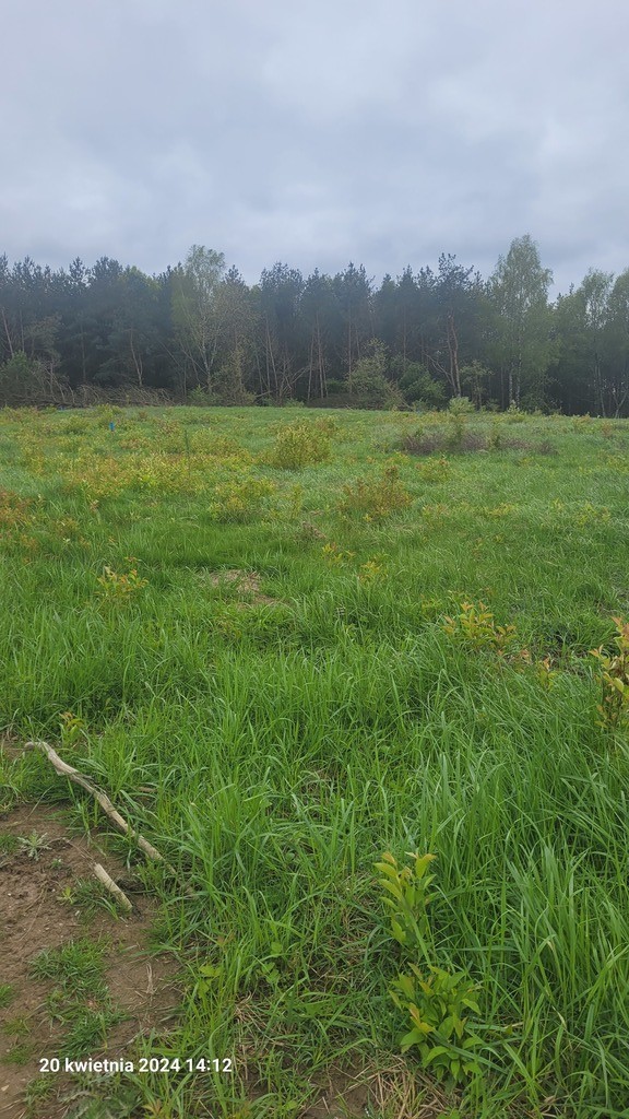 Rekreacyjna, 1,174 m2, Zieleniewo  (2)