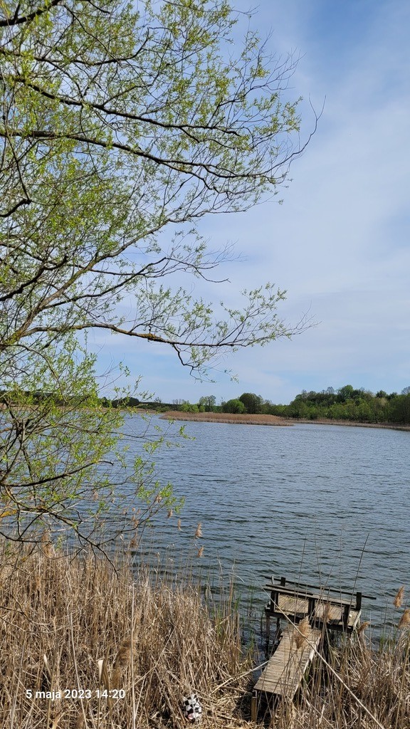 Rolna, 3,030 m2, Zieleniewo  (6)