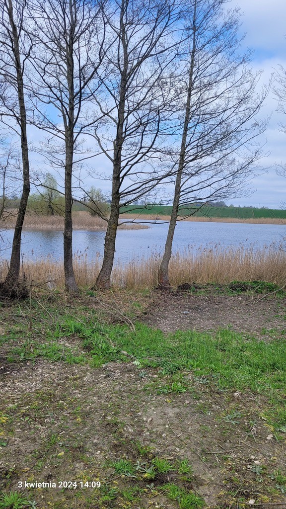 Rolna, 3,030 m2, Zieleniewo  (7)