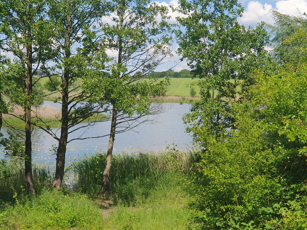 Rolna, 3,030 m2, Zieleniewo  (1)