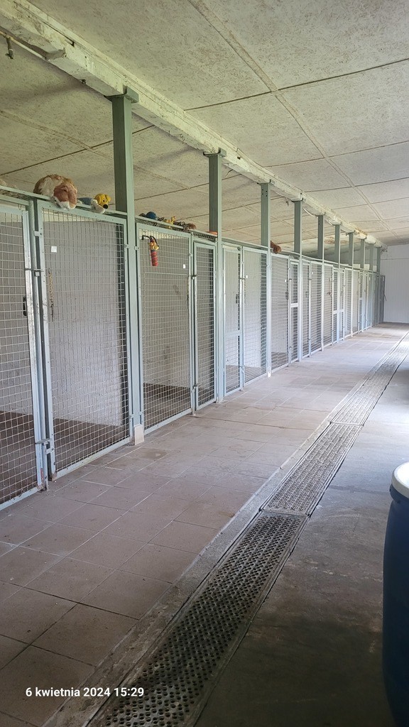 Wolno stojący, 995 m2, Sierakowo  (14)