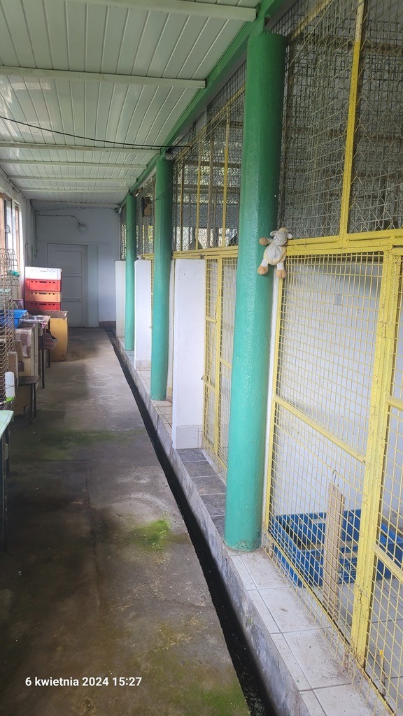 Wolno stojący, 995 m2, Sierakowo  (15)