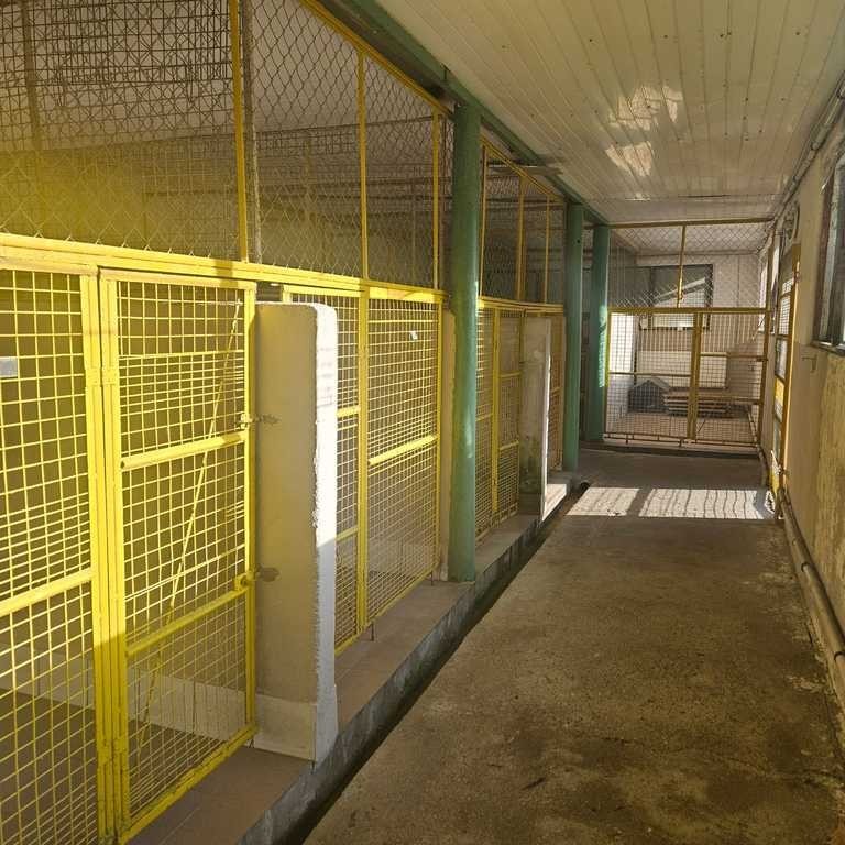 Wolno stojący, 995 m2, Sierakowo  (18)