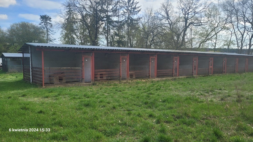 Obiekt, 1,240 m2, Sierakowo  (19)