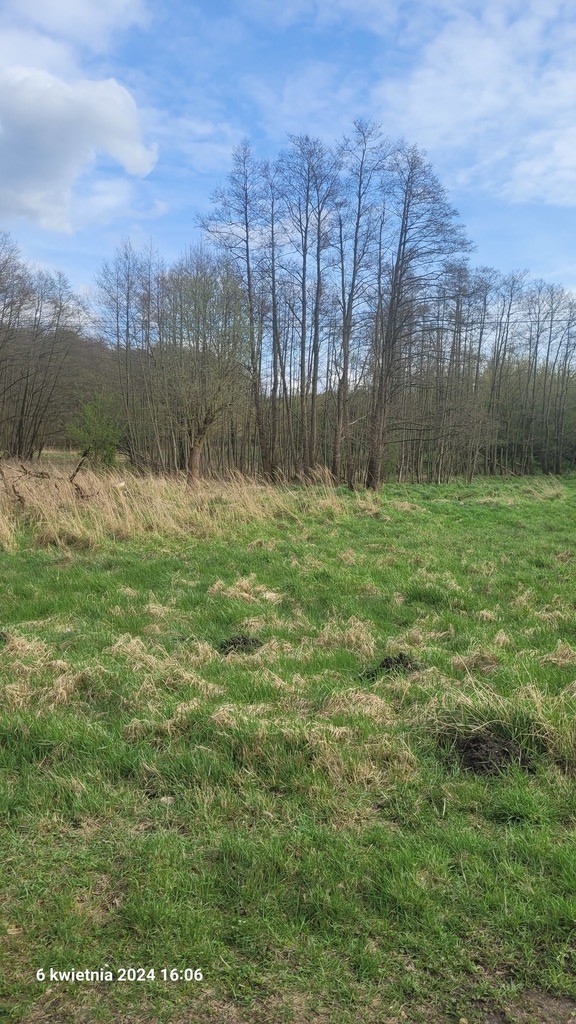 Obiekt, 1,240 m2, Sierakowo  (26)