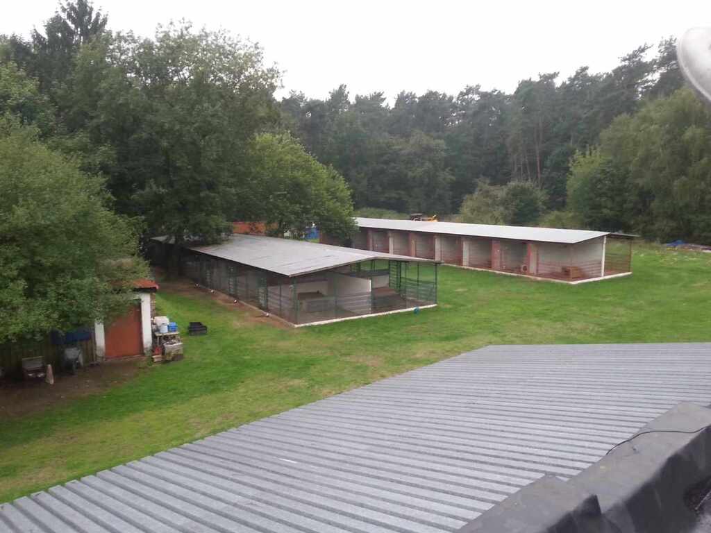 Lokal, 1,240 m2, parter, Sierakowo  (21)