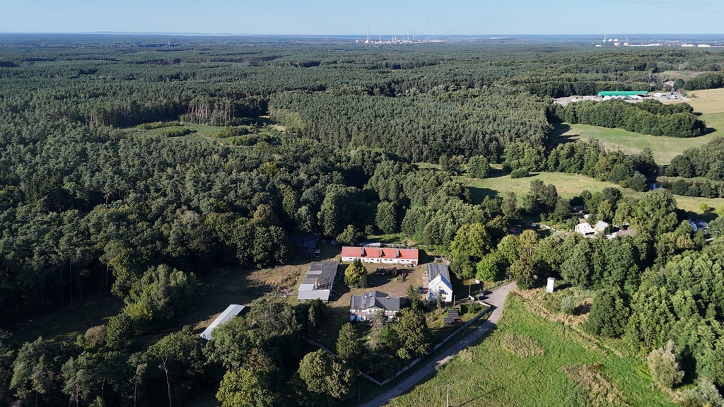 Lokal, 1,240 m2, parter, Sierakowo  (5)