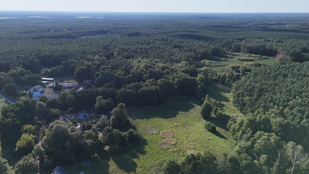 Lokal, 1,240 m2, parter, Sierakowo  (6)