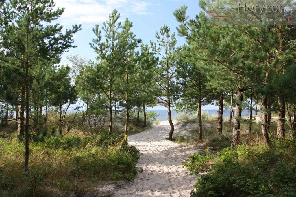 Działka nad morzem 400m od plaży - Rogowo (7)