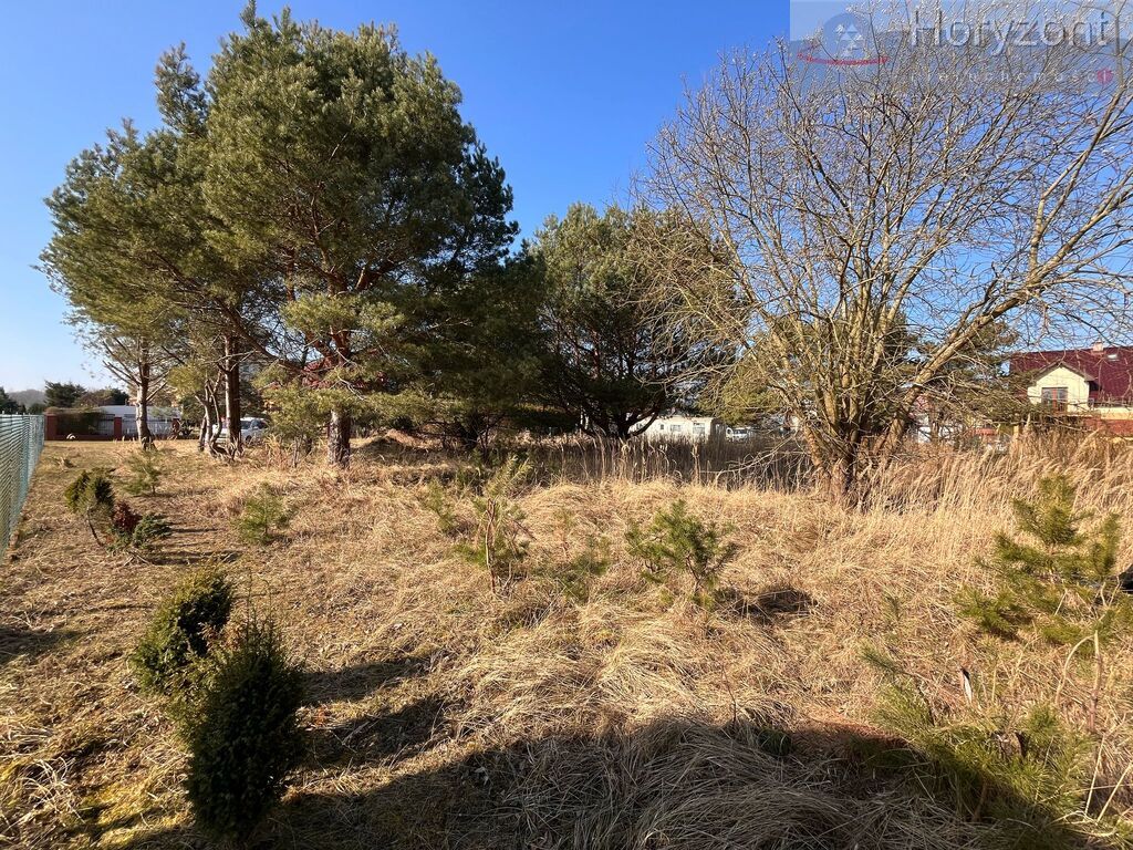 Działka nad morzem 400m od plaży - Rogowo (4)