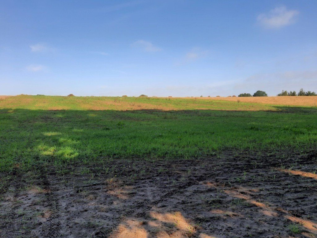 Kurów pięknie położona działka 2 ha, widok na Odrę (1)