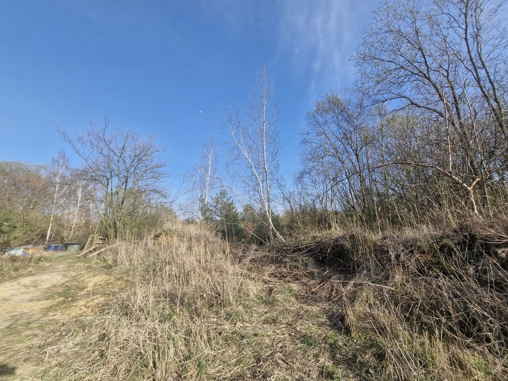 Działka budowlana  z bogatym drzwostanem (19)