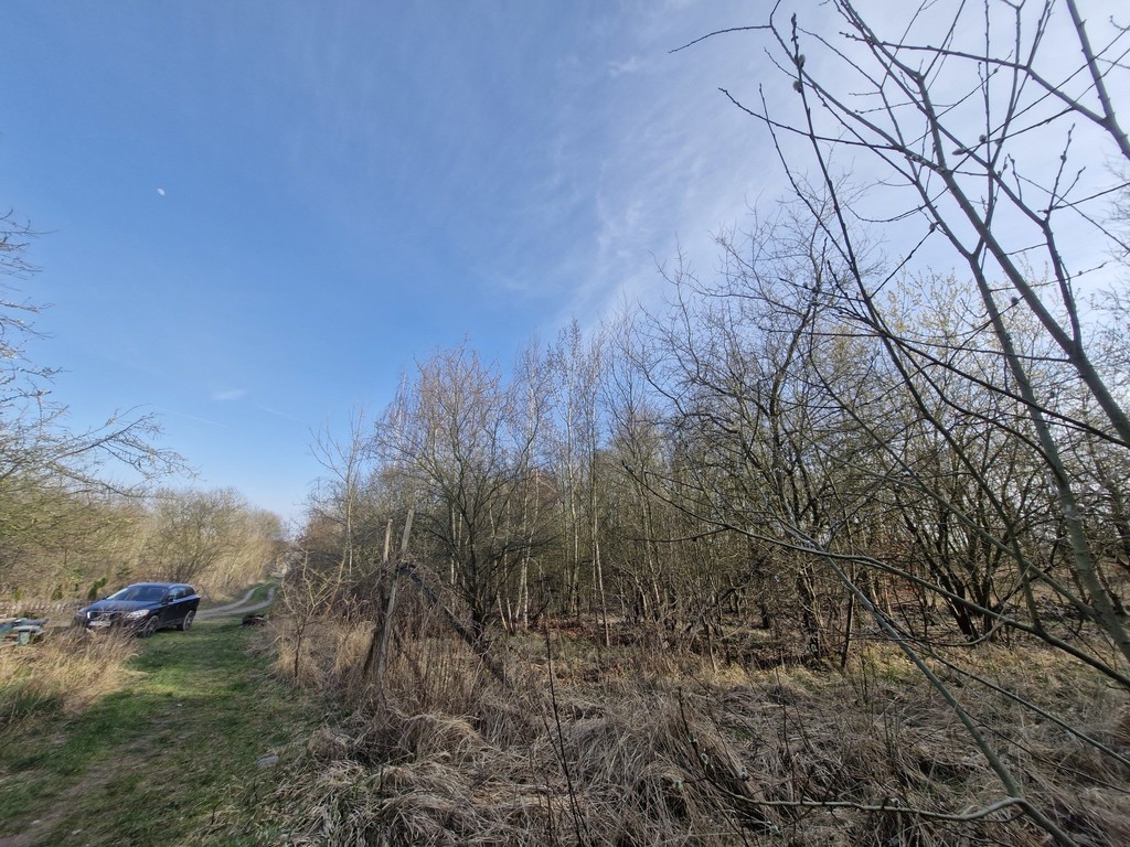 Działka budowlana  z bogatym drzwostanem (24)