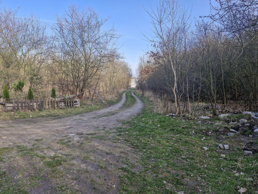 Działka budowlana  z bogatym drzwostanem (25)