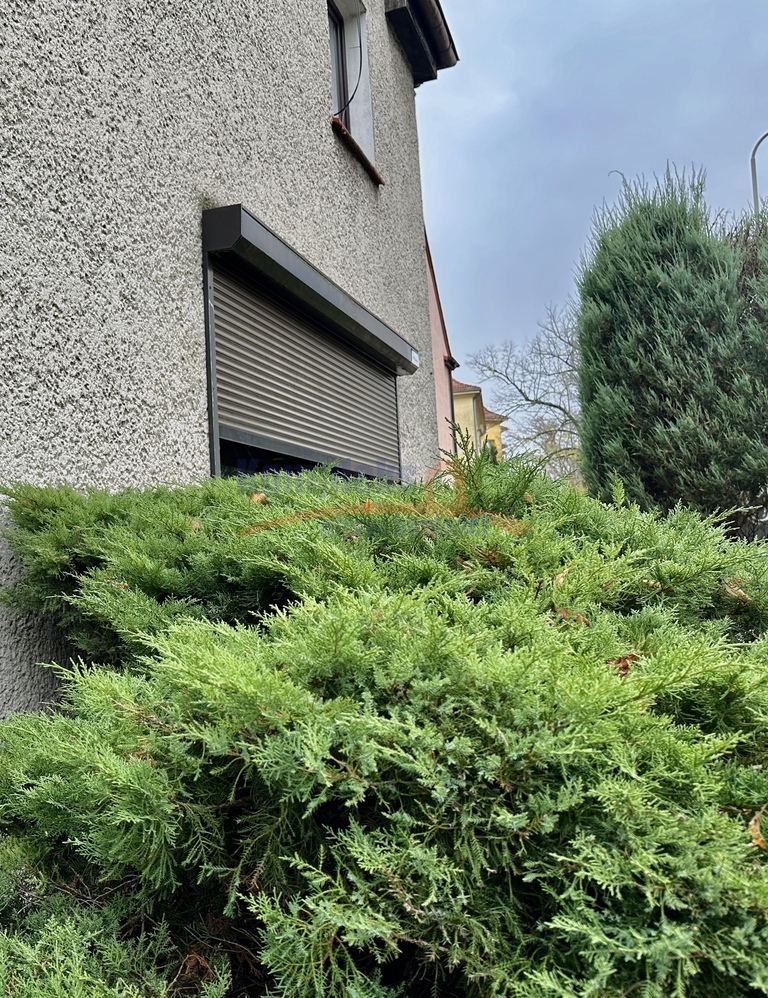 Pogodno dom + lokal (3)