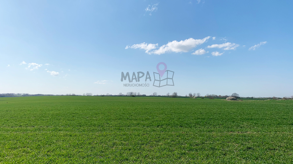 OKAZJA Siadło Górne 3208m2 (1)