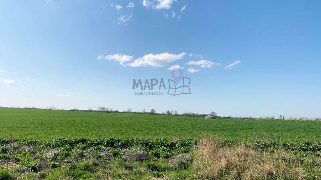 OKAZJA Siadło Górne 3208m2 (6)