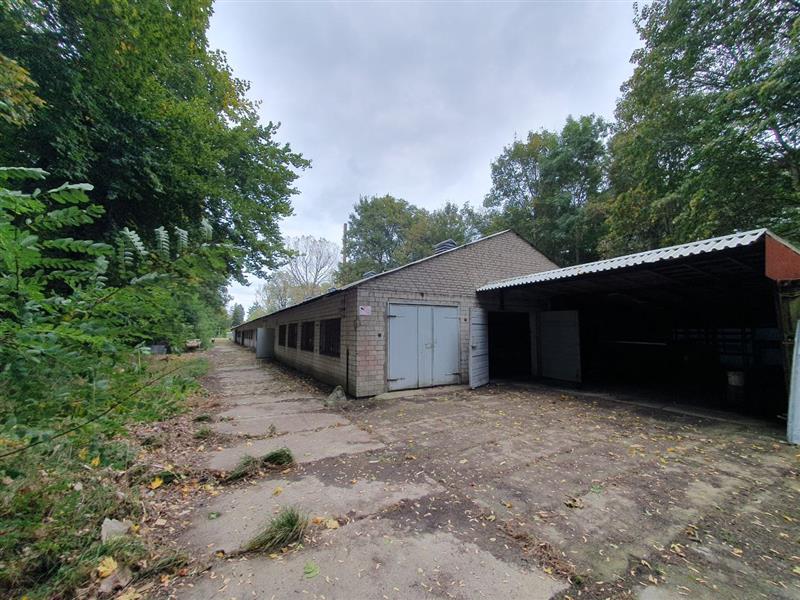 Hala na wynajem - Wierzchomino, powiat Koszalin (5)