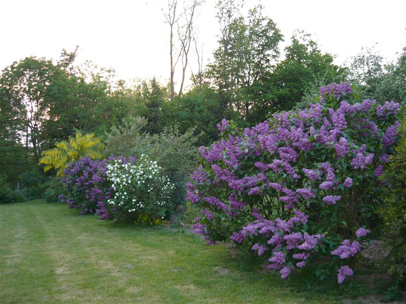 Tymień działki inwestycyjne,budowlane 5km od morza (2)