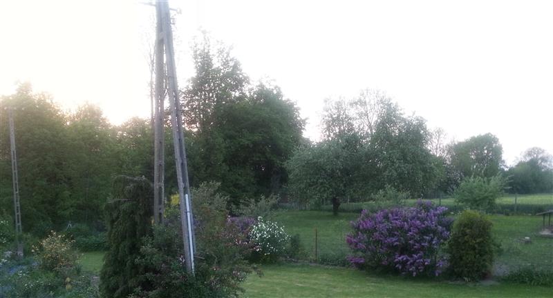 Tymień działki inwestycyjne,budowlane 5km od morza (3)