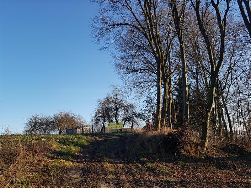 Tymień działki inwestycyjne,budowlane 5km od morza (4)