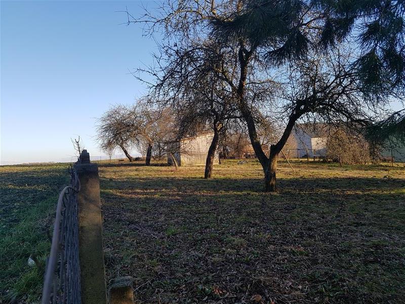 Tymień działki inwestycyjne,budowlane 5km od morza (5)