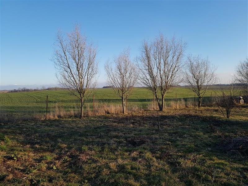 Tymień działki inwestycyjne,budowlane 5km od morza (6)