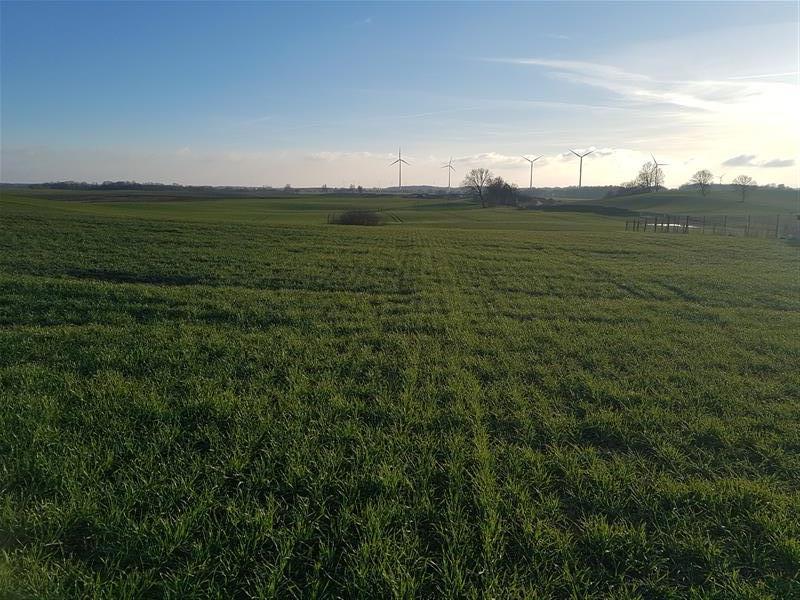 Tymień działki inwestycyjne,budowlane 5km od morza (8)