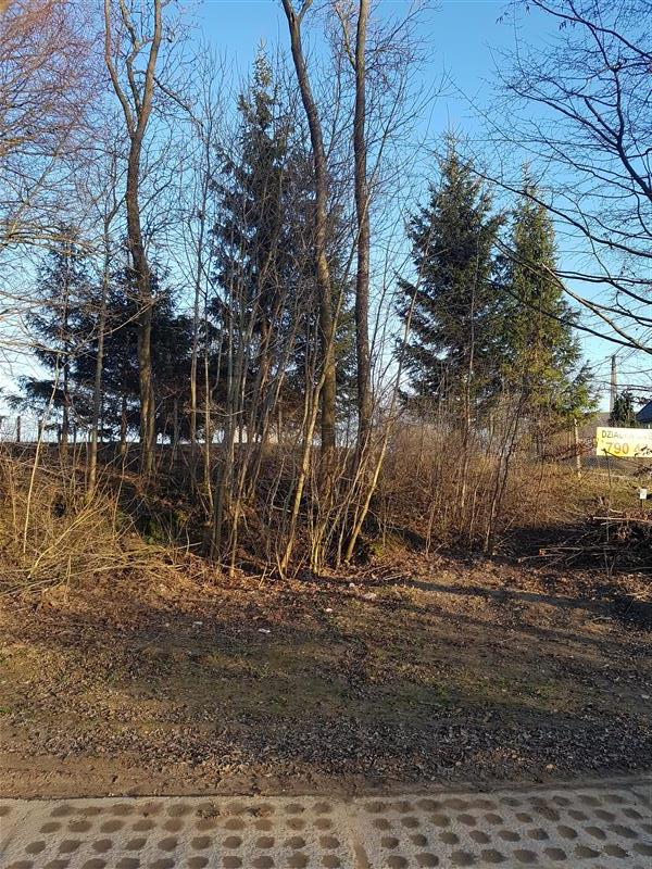 Tymień działki inwestycyjne,budowlane 5km od morza (9)