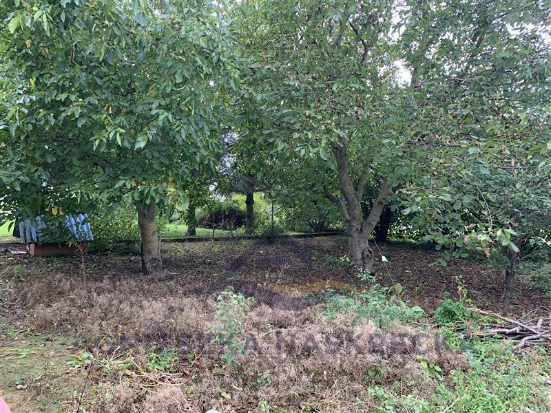 Dom wolnostojący - Dobiesławiec  (15)