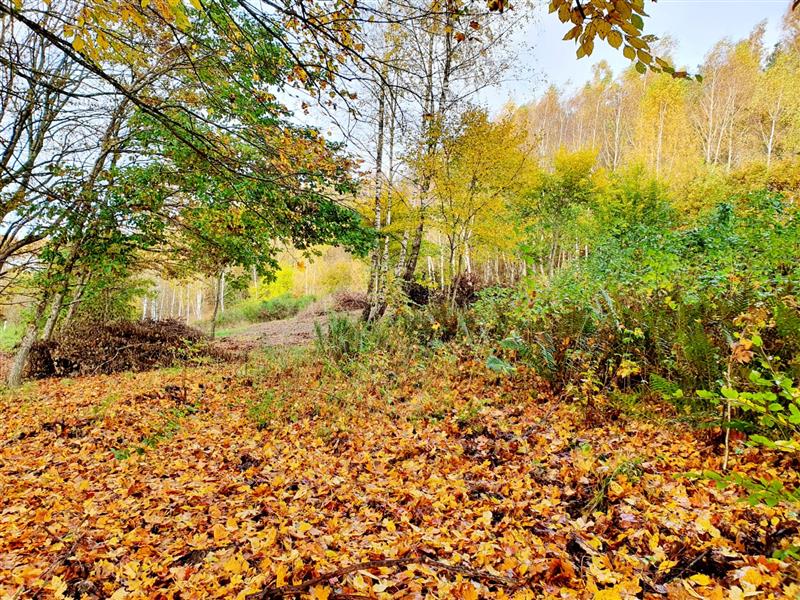 Działka - Koszalin  (4)