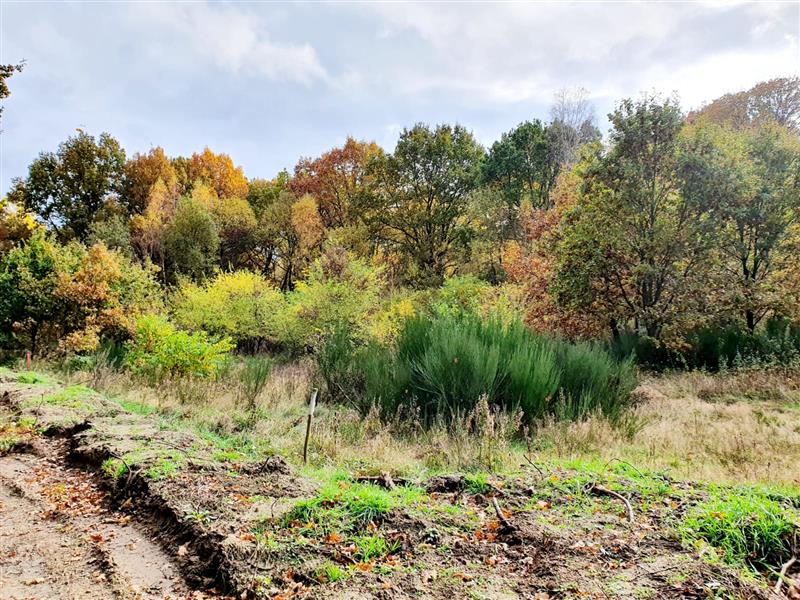 Działka - Koszalin  (5)