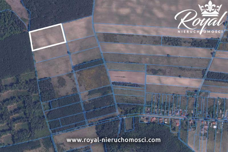 Działka 2 ha Powidz, gmina Polanów (2)