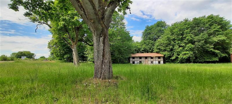 Obiekt - Cybulino  (15)