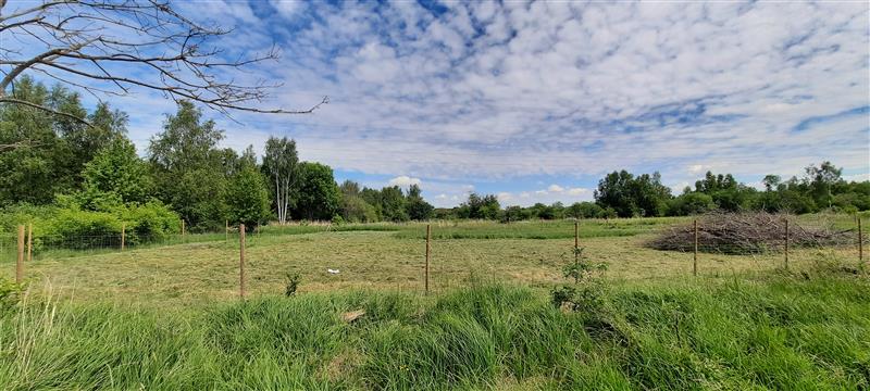 Działka usługowa - Białogard  (3)