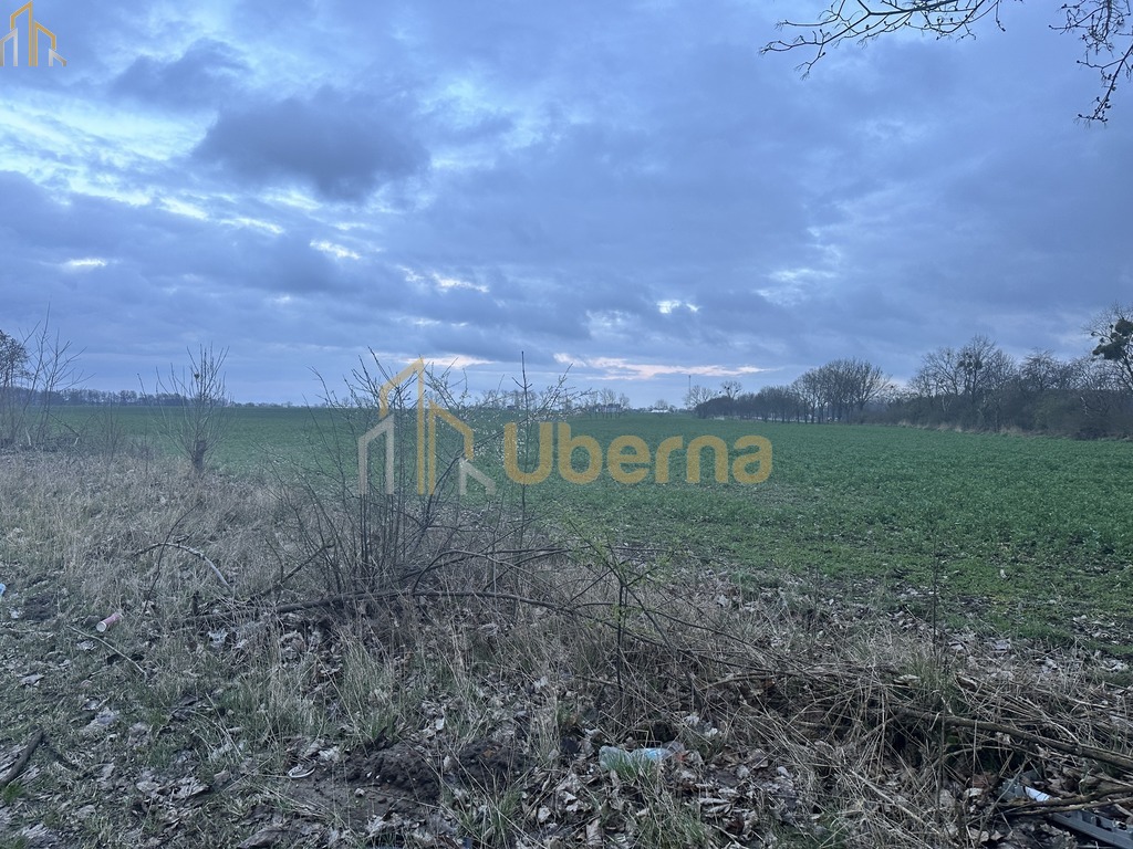 Teren inwestycyjny z potencjałem produkcja,/składy (6)