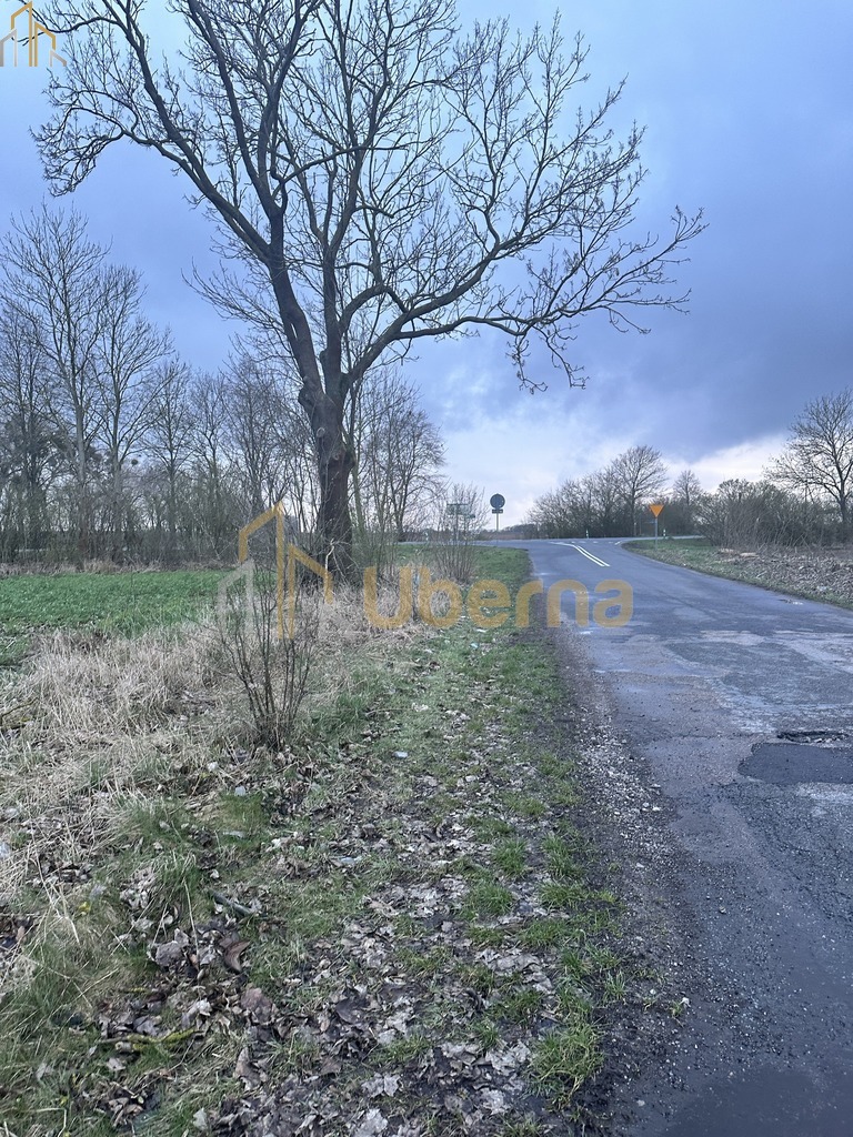 Teren inwestycyjny z potencjałem produkcja,/składy (5)