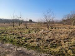 Łaniewo działka budowlana 2269 m2, prąd, woda (2)