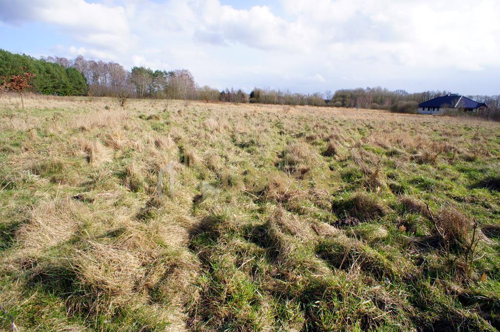 Działka rolno-budowlana o pow. 1073 m 2 (5)