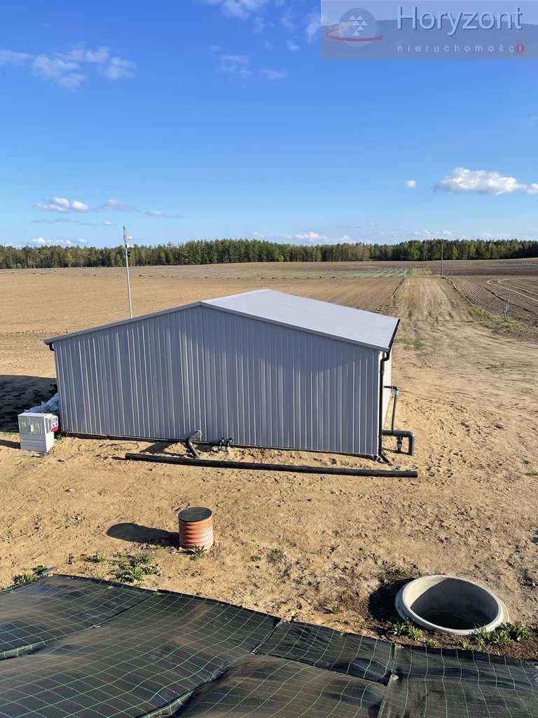 Gospodarstwo rolne 50ha (plantacja borówki 7ha) (15)