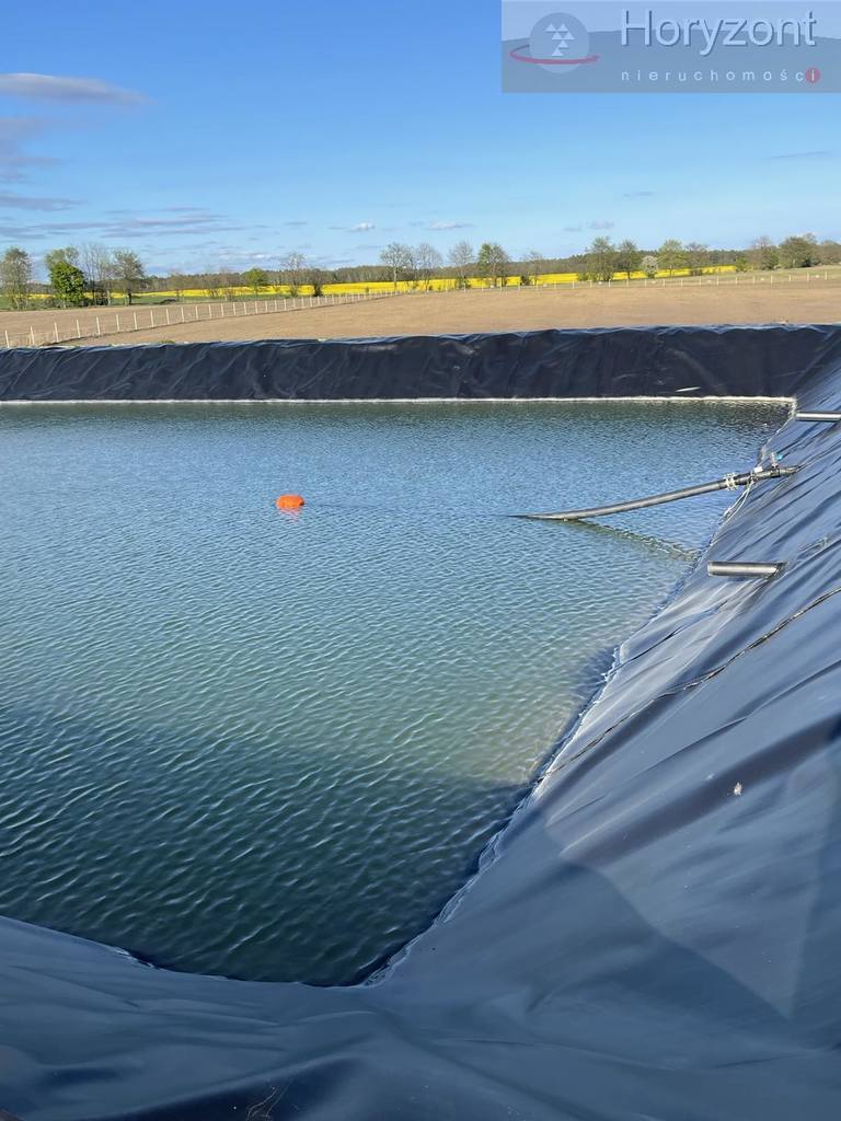 Gospodarstwo rolne 50ha (plantacja borówki 7ha) (20)