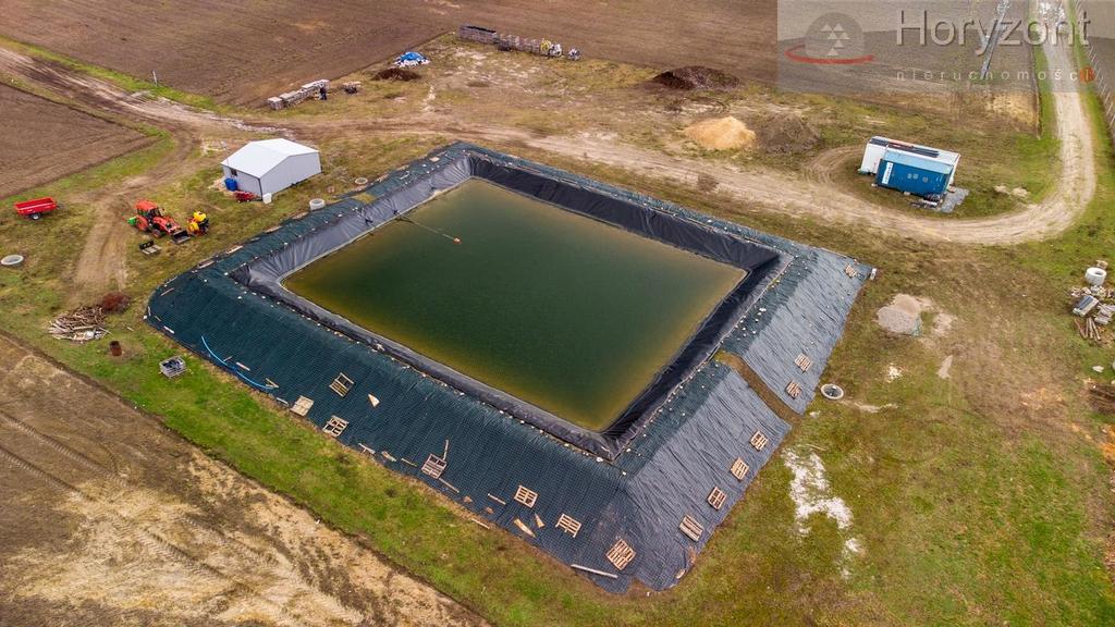 Gospodarstwo rolne 50ha (plantacja borówki 7ha) (7)