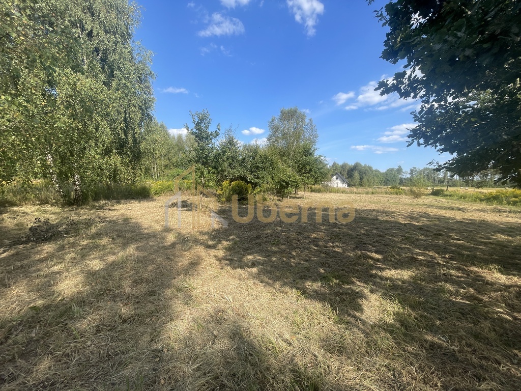 Działka  na sprzedaż pod Goleniowem/ Żółwia Błoć (3)