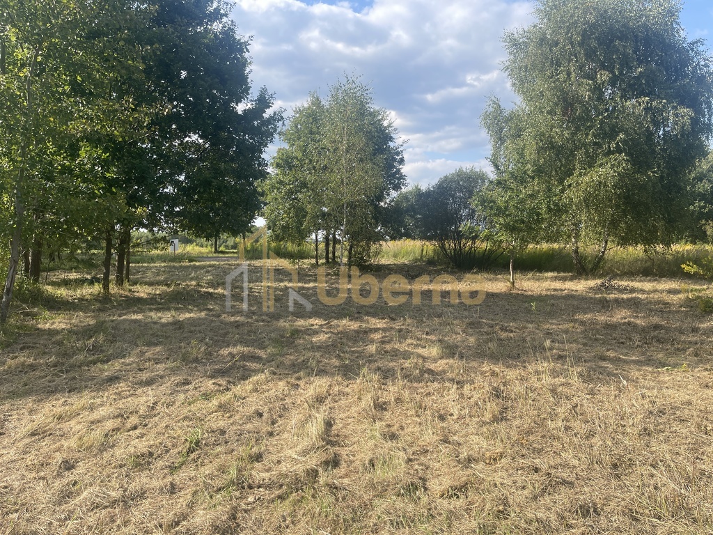 Działka  na sprzedaż pod Goleniowem/ Żółwia Błoć (16)