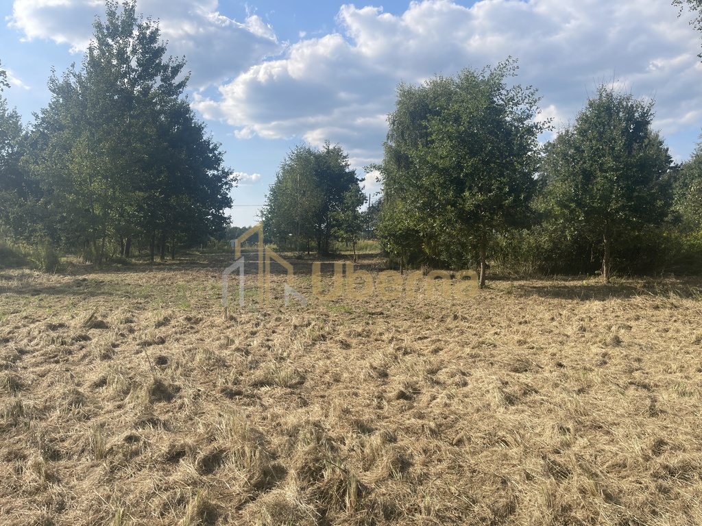 Działka  na sprzedaż pod Goleniowem/ Żółwia Błoć (10)