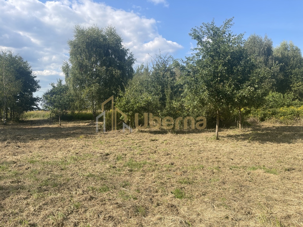 Działka  na sprzedaż pod Goleniowem/ Żółwia Błoć (11)