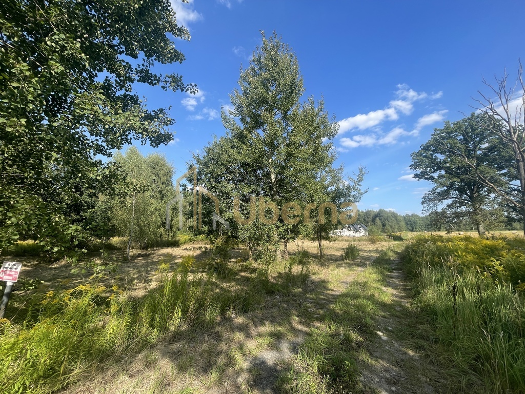 Działka  na sprzedaż pod Goleniowem/ Żółwia Błoć (12)