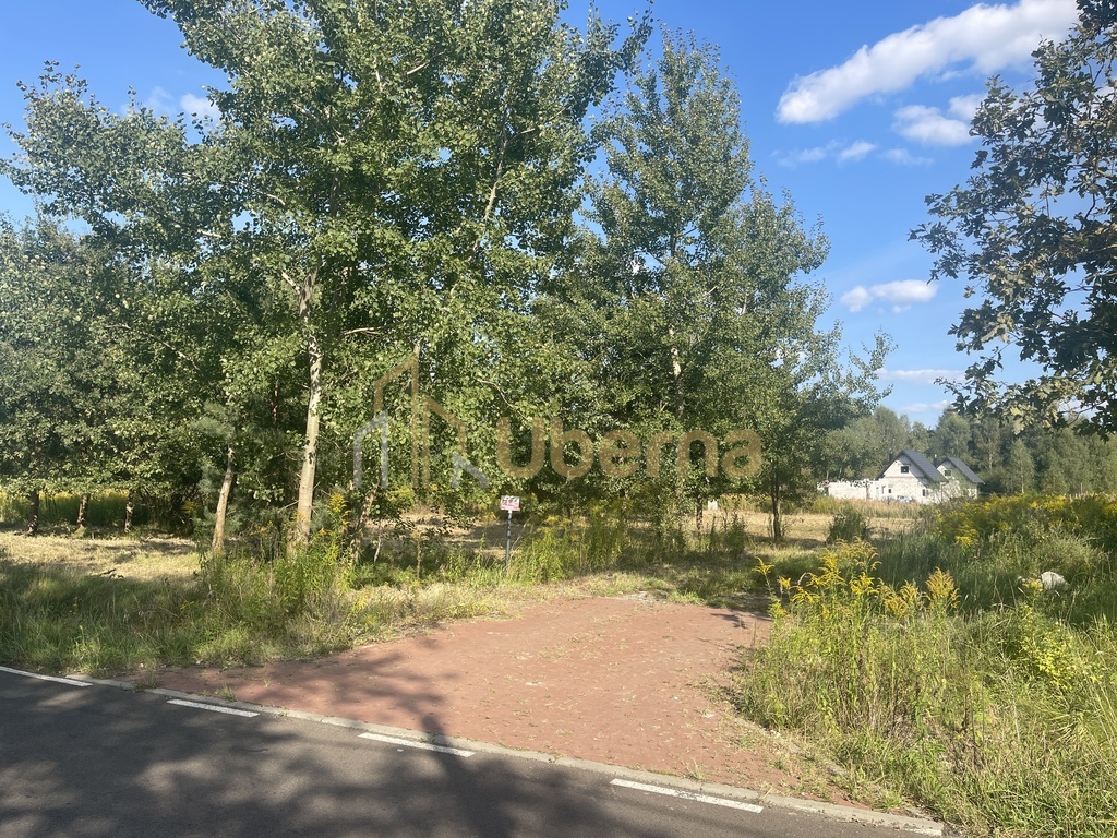 Działka  na sprzedaż pod Goleniowem/ Żółwia Błoć (13)